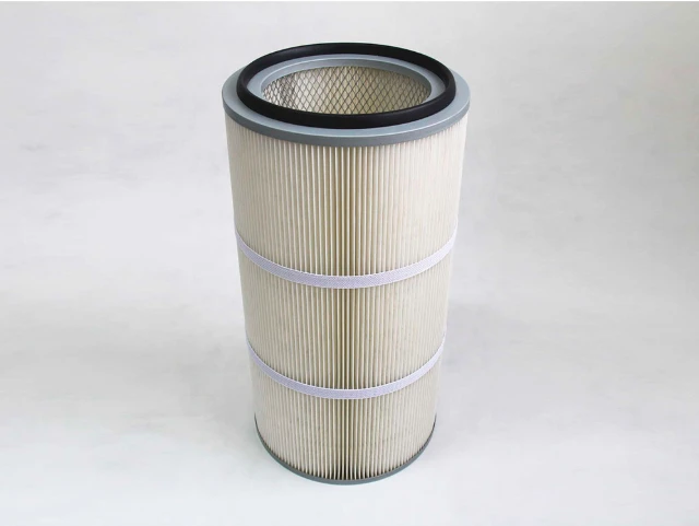 Polyester Cartridge Filter 1